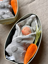 Load image into Gallery viewer, Tiny Bunny in a Big Tin Egg