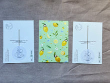 Load image into Gallery viewer, Doll making needles