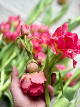 Load image into Gallery viewer, PDF Pattern and Tutorial - French Tulip