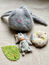 Load image into Gallery viewer, Tiny Bunny in Carrot Bag
