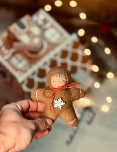 Ginger Bread Cookie Baby