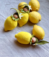 Load image into Gallery viewer, Lemon Baby
