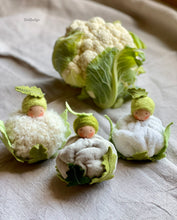 Load image into Gallery viewer, Cauliflower Child
