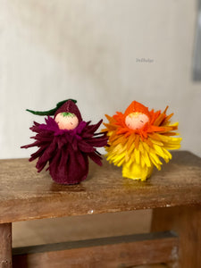 Chrysanthemum Children - 9 cm