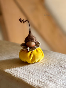 Mini Pumpkin - 8 cm